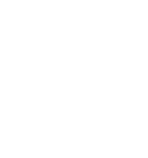 the bloom fund logo